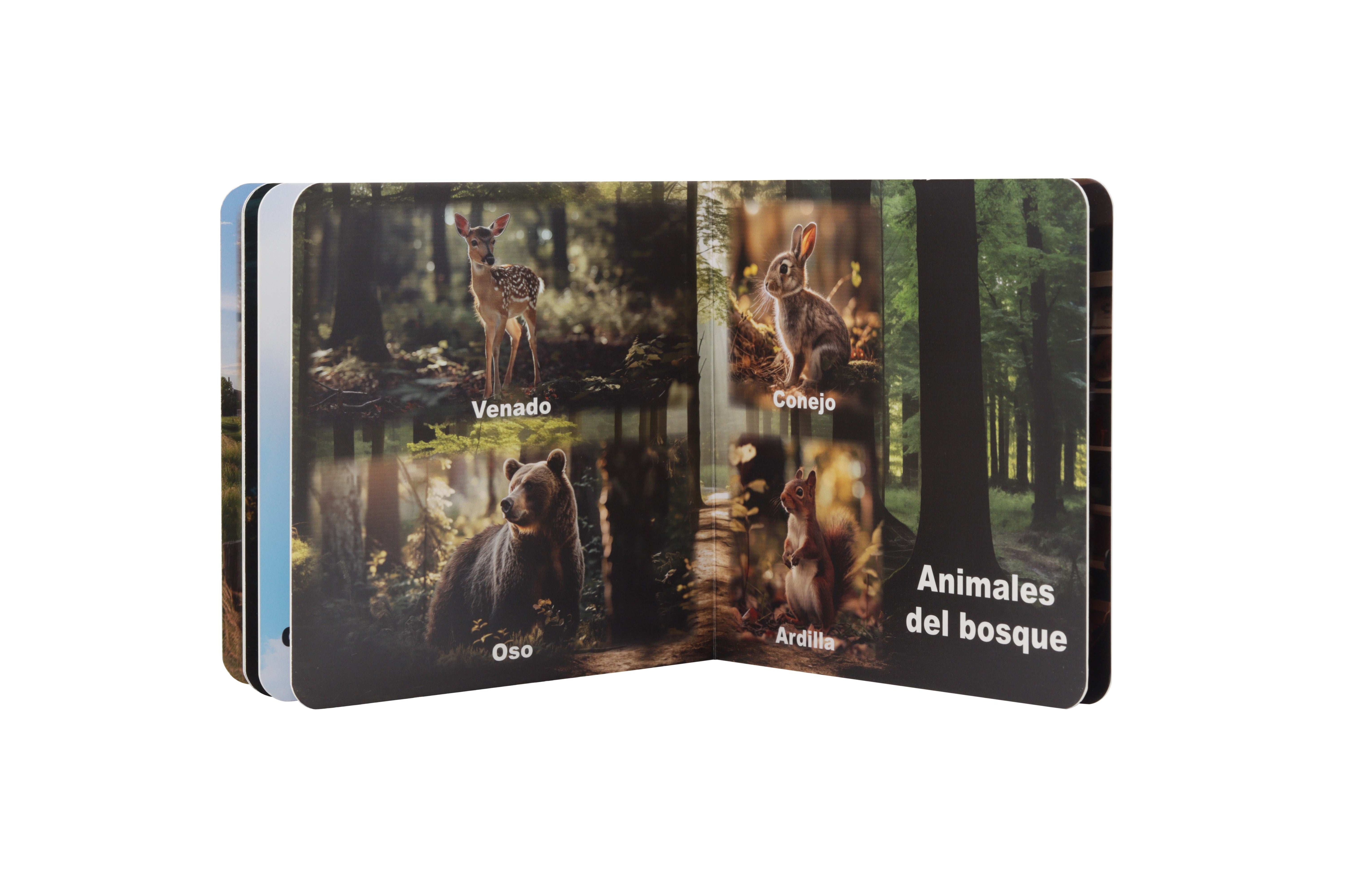 Kit 4: Primeras Habilidades (9 a 12 meses)